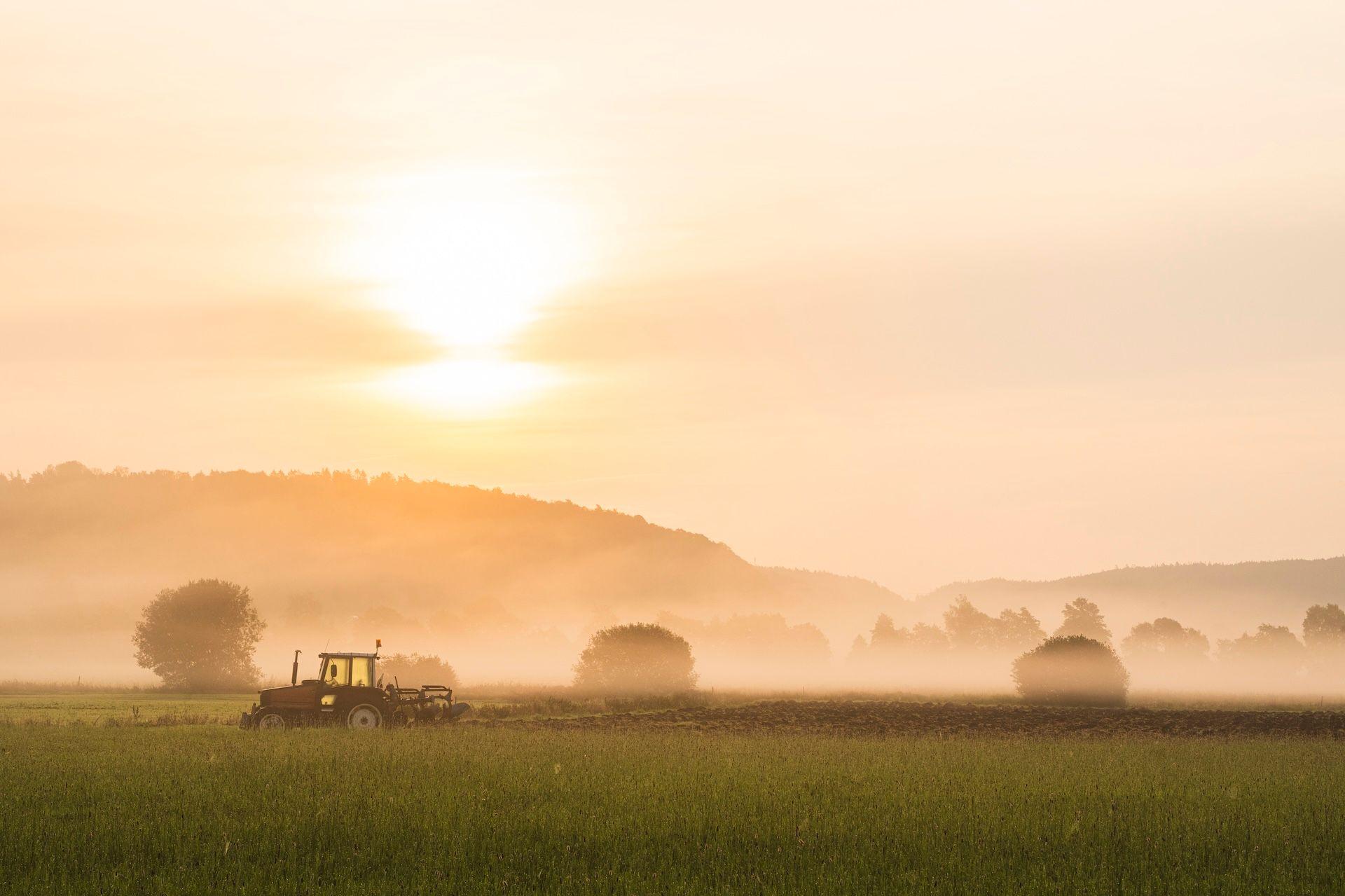 Traktor med plog på åker i dimmig soluppgång
